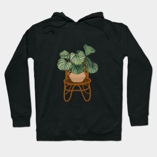 Modern calathea orbifolia plant illustration Hoodie